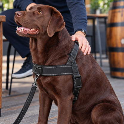 No-Pull Dog Harness